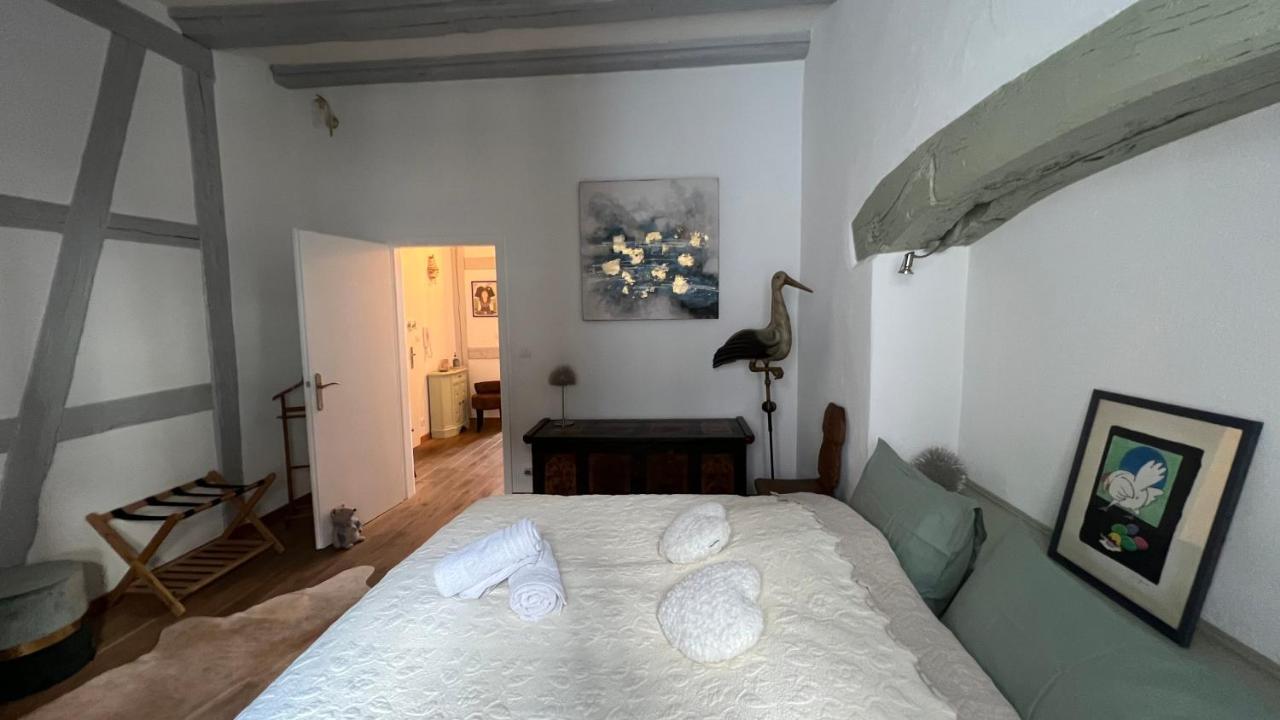 Gite BI UNS chez Silvana Colmar Exterior foto