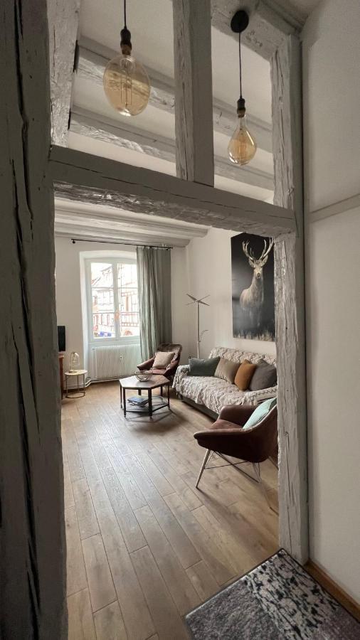 Gite BI UNS chez Silvana Colmar Exterior foto