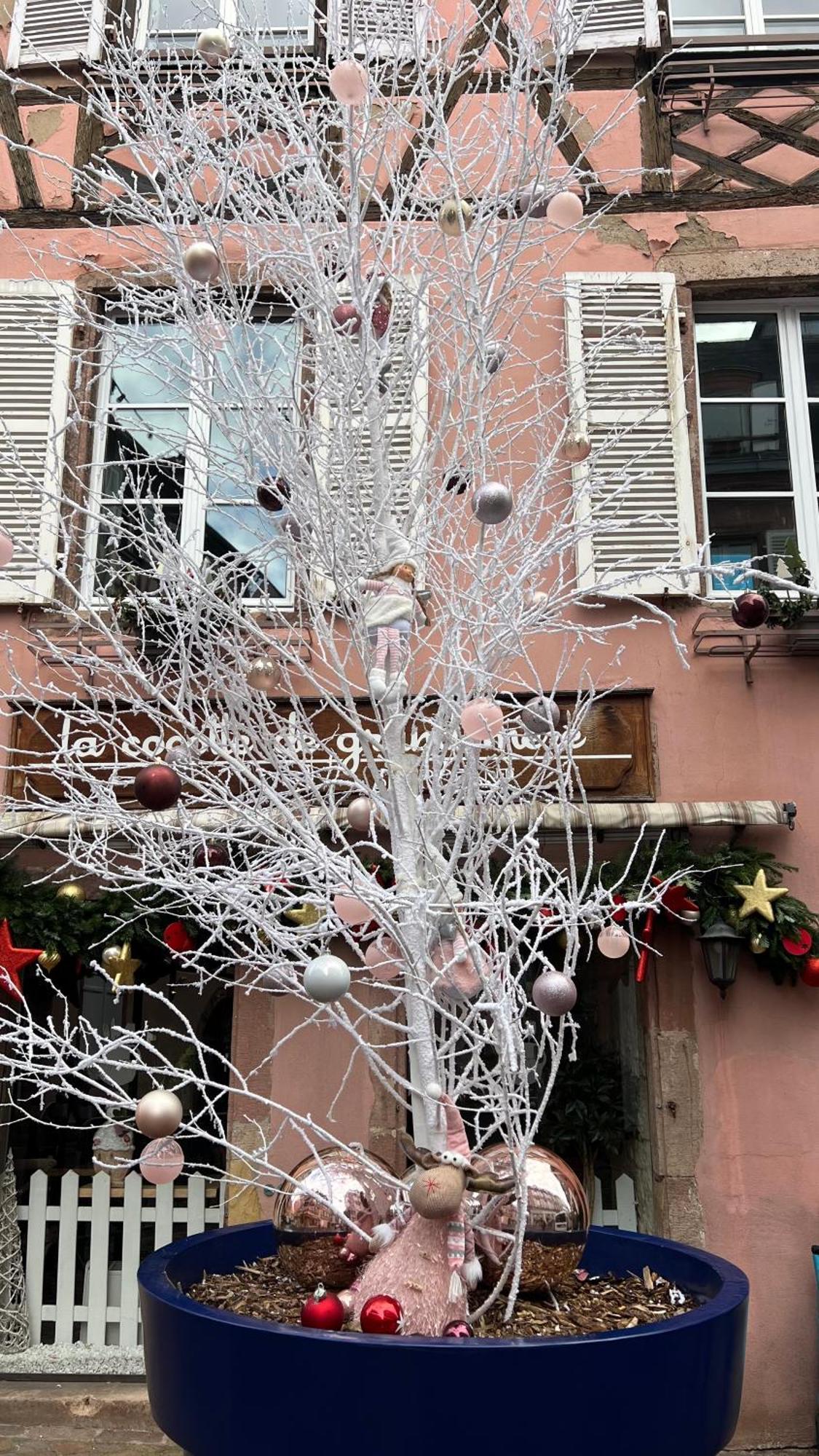 Gite BI UNS chez Silvana Colmar Exterior foto